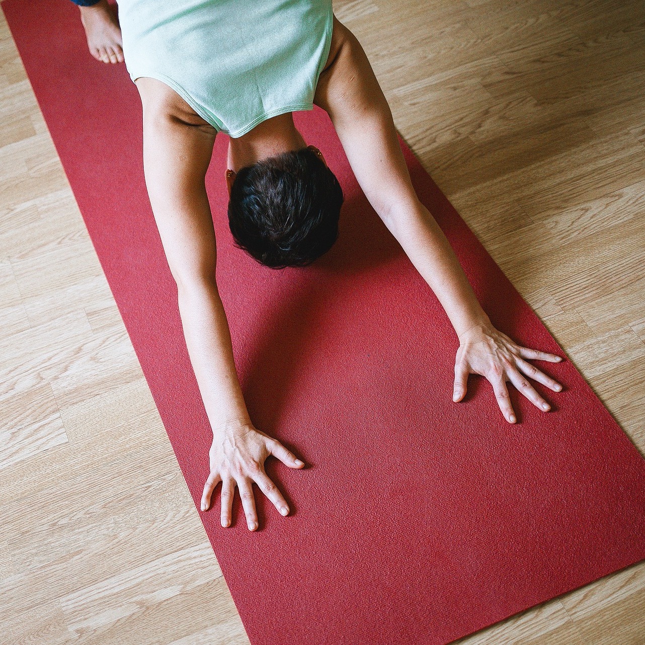 Nature's Solace: Winter Yoga in the Garden—February - logo